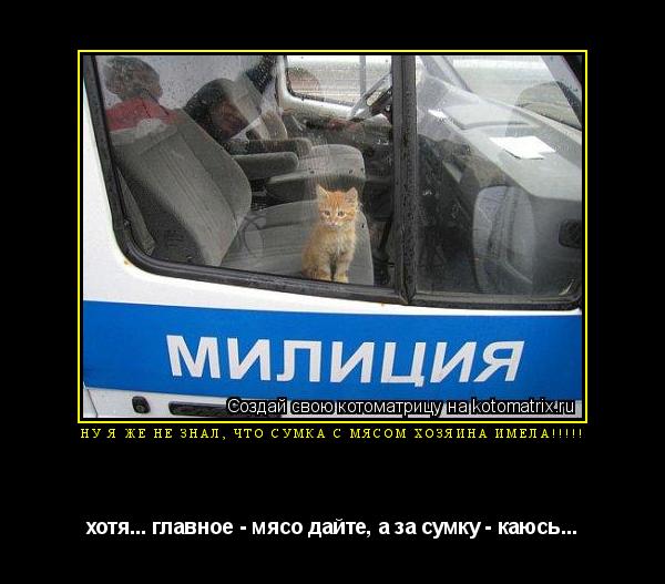 Котоматрица: ну я же не знал, что сумка с мясом хозяина имела!!!!! хотя... главное - мясо дайте, а за сумку - каюсь...