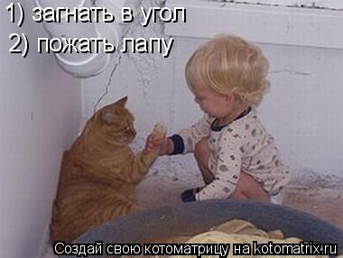 Котоматрица: 1) загнать в угол 2) пожать лапу