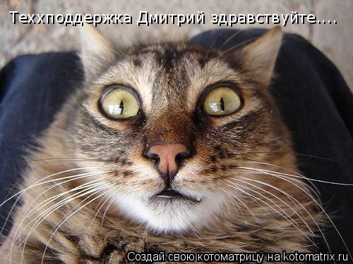 Котоматрица: Теххподдержка Дмитрий здравствуйте....