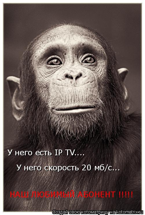 Котоматрица: У него есть IP TV.... У него скорость 20 мб/с... НАШ ЛЮБИМЫЙ АБОНЕНТ !!!!!