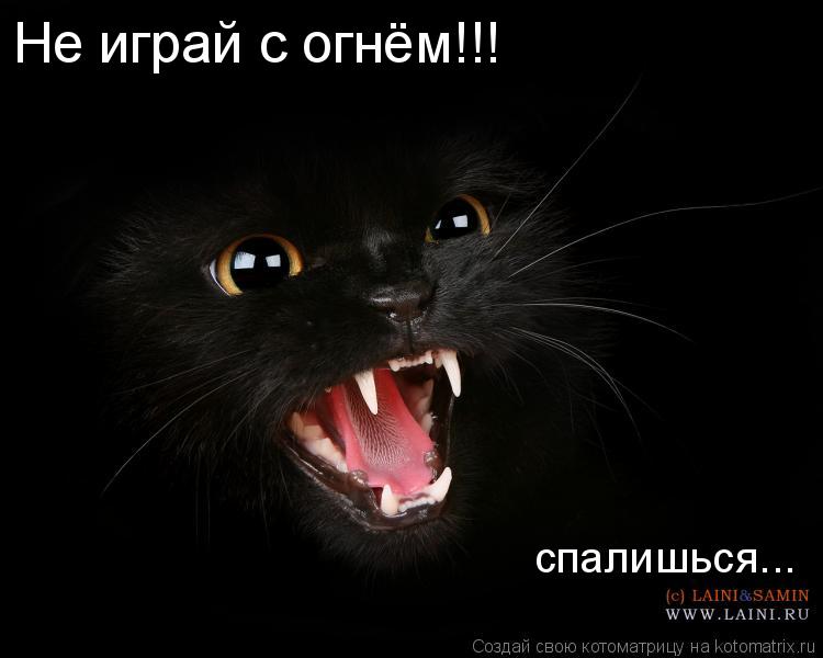 Котоматрица: спалишься... Не играй с огнём!!!