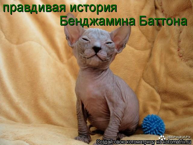 Котоматрица: правдивая история Бенджамина Баттона