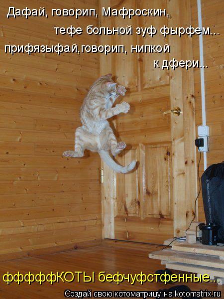 Котоматрица: Дафай, говорип, Мафроскин,  тефе больной зуф фырфем... прифязыфай,говорип, нипкой к дфери... фффффКОТЫ бефчуфстфенные...