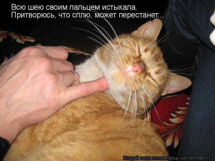 Котоматрица: Всю шею своим пальцем истыкала. Притворюсь, что сплю, может перестанет...