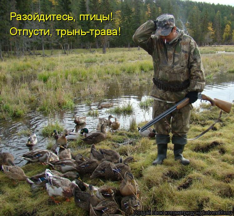 Котоматрица: Разойдитесь, птицы! Отпусти, трынь-трава!