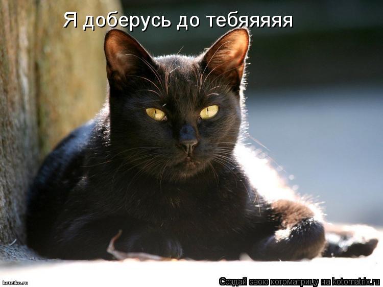 Котоматрица: Я доберусь до тебяяяяя