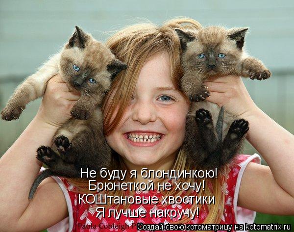 Котоматрица: Не буду я блондинкою! Брюнеткой не хочу! КОШтановые хвостики Я лучше накручу!