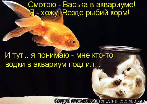 Котоматрица: Смотрю - Васька в аквариуме! Я - хожу! Везде рыбий корм! И тут... я понимаю - мне кто-то водки в аквариум подлил...