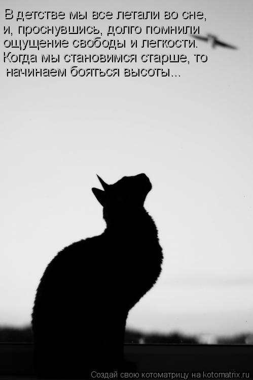 Котоматрица: В детстве мы все летали во сне, и, проснувшись, долго помнили ощущение свободы и легкости. Когда мы становимся старше, то начинаем бояться вы