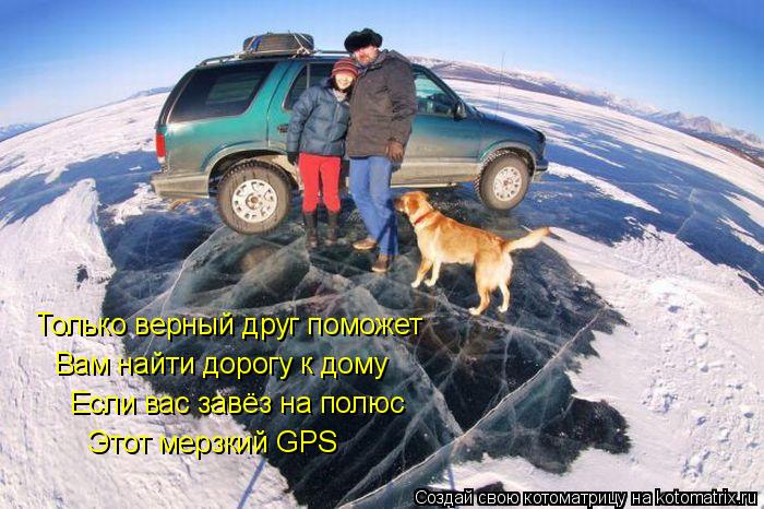 Котоматрица: Только верный друг поможет Вам найти дорогу к дому Если вас завёз на полюс Этот мерзкий GPS