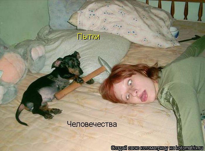 Котоматрица: Пытки  Человечества