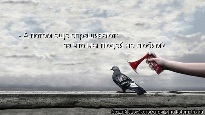Котоматрица: - А потом ещё спрашивают: за что мы людей не любим?