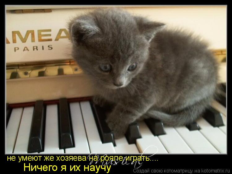 Котоматрица: не умеют же хозяева на рояле играть.... Ничего я их научу