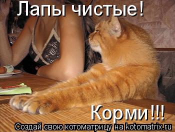 Котоматрица: Лапы чистые! Корми!!!
