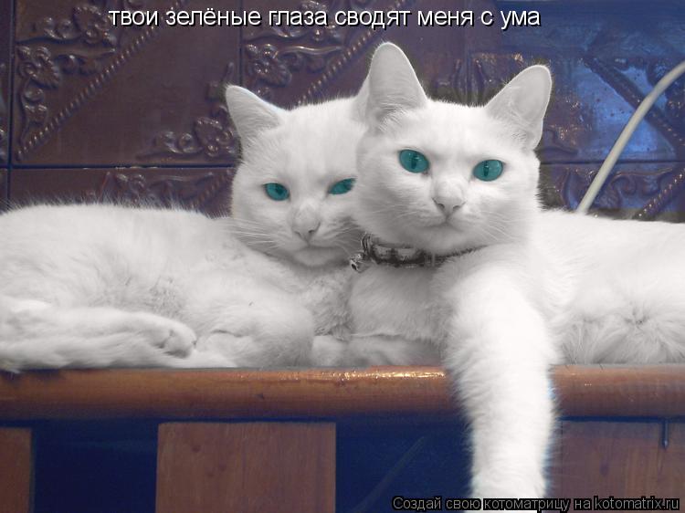 Скачать песню посмотри в мои глаза я счастлива без тебя