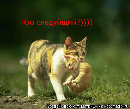 Котоматрица: Кто следуйщий?))))