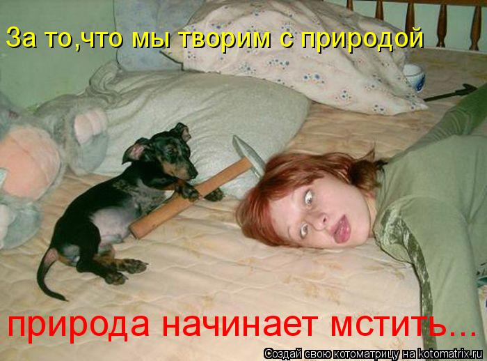Котоматрица: За то,что мы творим с природой природа начинает мстить...