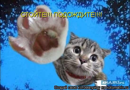 Котоматрица: СТОЙТЕ!!! ПОДОЖДИТЕ!!!!