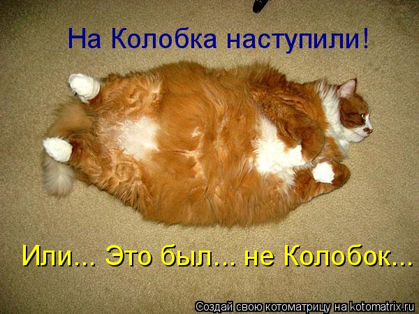 Котоматрица: На Колобка наступили! Или... Это был... не Колобок...