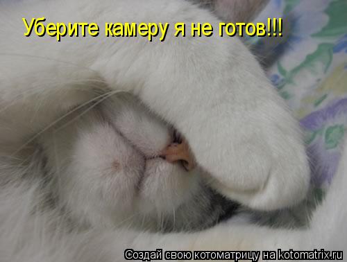 Котоматрица: Уберите камеру я не готов!!!