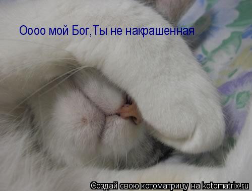 Котоматрица: Оооо мой Бог,Ты не накрашенная