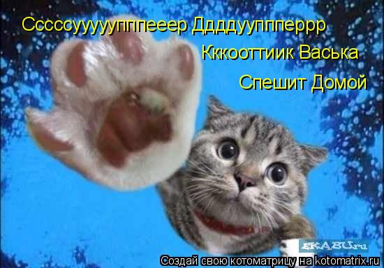 Котоматрица: Сссссууууупппееер Ддддууппперрр  Кккооттиик Васька Спешит Домой