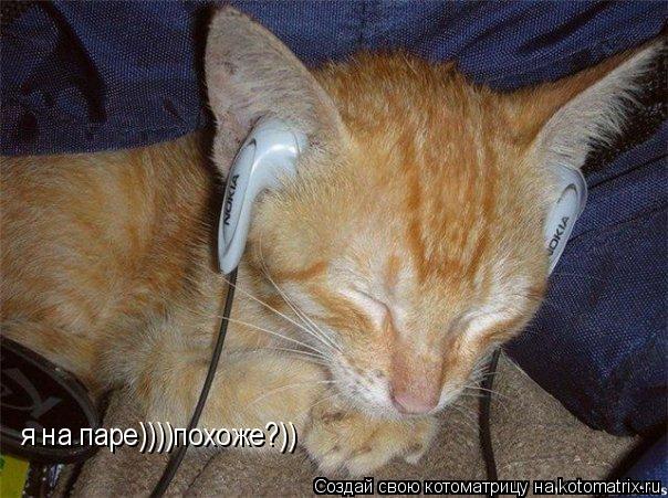 Котоматрица: я на паре))))похоже?))