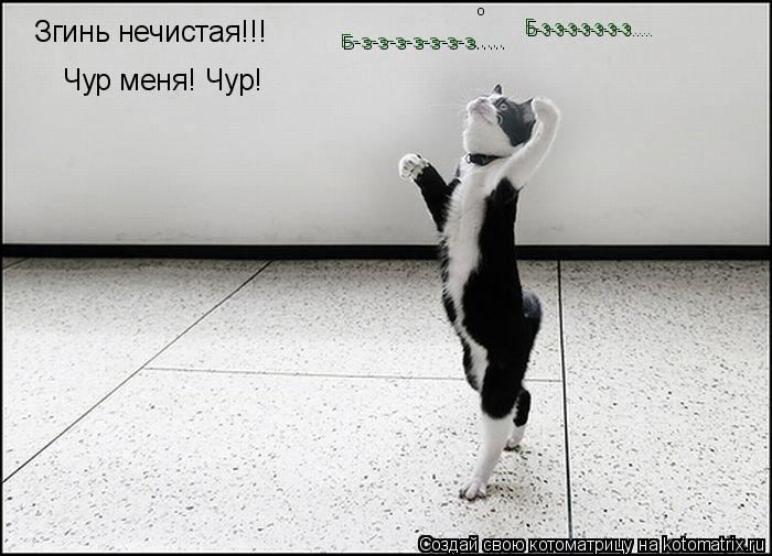 Котоматрица: Згинь нечистая!!! Чур меня! Чур! Б-з-з-з-з-з-з-з..... Б-з-з-з-з-з-з-з..... о