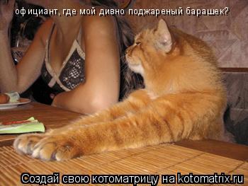 Котоматрица: официант, где мой дивно поджареный барашек?