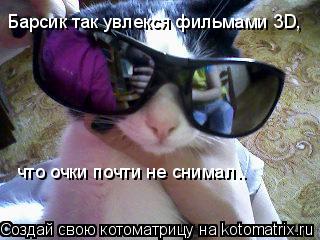 Котоматрица: Барсик так увлекся фильмами 3D,  что очки почти не снимал..
