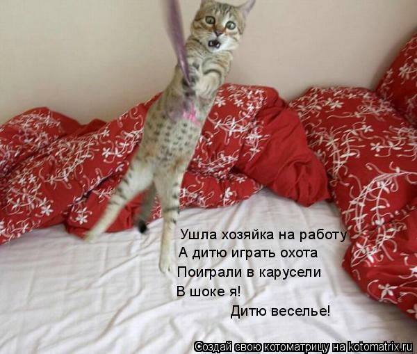 Котоматрица: Ушла хозяйка на работу А дитю играть охота Поиграли в карусели В шоке я! Дитю веселье!