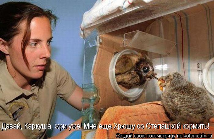 Котоматрица: Давай, Каркуша, жри уже! Мне еще Хрюшу со Степашкой кормить!