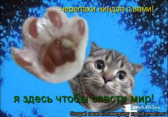 Котоматрица: черепахи ниндзя с вами! я здесь чтобы спасти мир!