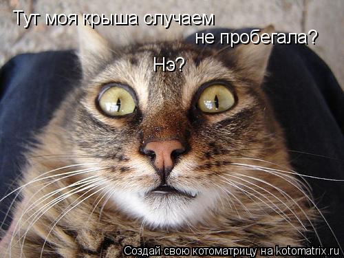 Котоматрица: Тут моя крыша случаем не пробегала? Нэ?
