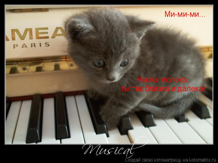Котоматрица: Ми-ми-ми... Миска молока, ты так близка и далека!
