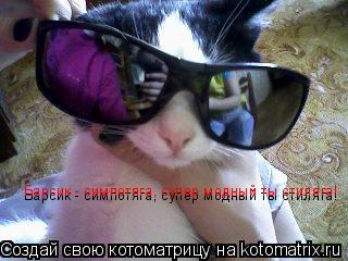 Котоматрица: Барсик - симпотяга, супер модный ты стиляга! Барсик - симпотяга, супер модный ты стиляга!