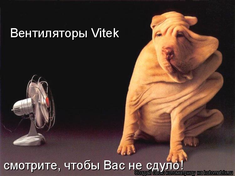 Котоматрица: Вентиляторы Vitek смотрите, чтобы Вас не сдуло!