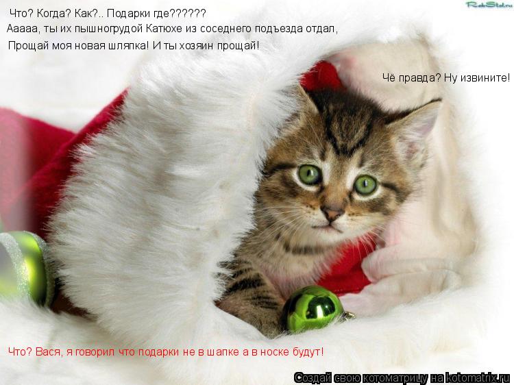 Котоматрица: Что? Когда? Как?.. Подарки где?????? Ааааа, ты их пышногрудой Катюхе из соседнего подъезда отдал, Прощай моя новая шляпка! И ты хозяин прощай! Что