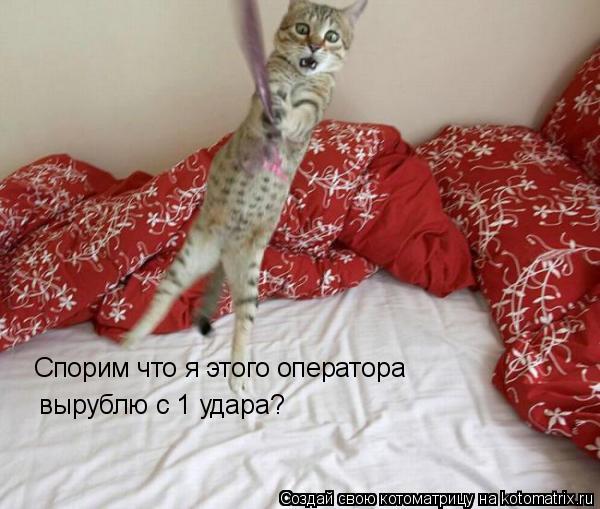 Котоматрица: вырублю с 1 удара? Спорим что я этого оператора