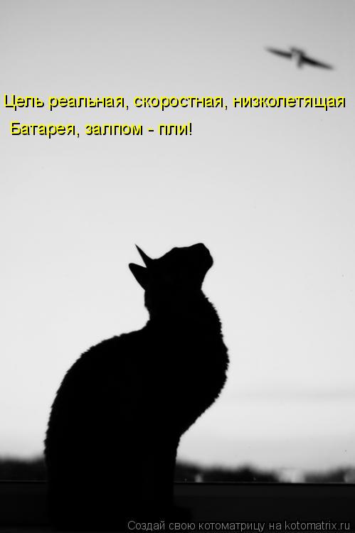 Котоматрица: Цель реальная, скоростная, низколетящая Батарея, залпом - пли!