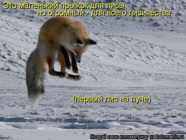 Котоматрица: Это маленький прыжок для лисы, но огромный - для всего лисичества (первый лис на луне)
