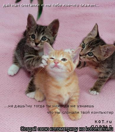 Котоматрица: дай нам сметанки и мы тебе кое-что скажем... ...не дашь?ну тогда ты никогда не узнаешь  что мы сломали твой компьютер