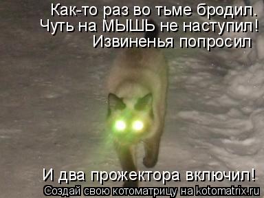 Котоматрица: Как-то раз во тьме бродил. Чуть на МЫШЬ не наступил! Извиненья попросил  И два прожектора включил!