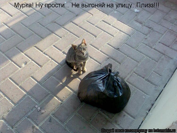 Котоматрица: Мурка! Ну прости... Не выгоняй на улицу...Плизз!!!