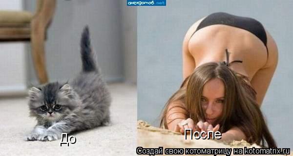 Котоматрица: До После