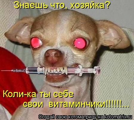 Знаешь что, хозяйка? Коли-ка ты себе свои витаминчики!!!!!!...... Котоматрица: Знаешь что, хозяйка? Коли-ка ты себе свои витаминчики!!!!!!...
