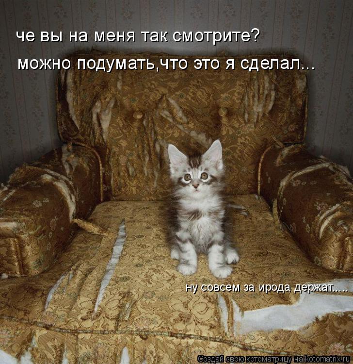 Котоматрица: че вы на меня так смотрите? можно подумать,что это я сделал... ну совсем за ирода держат.....