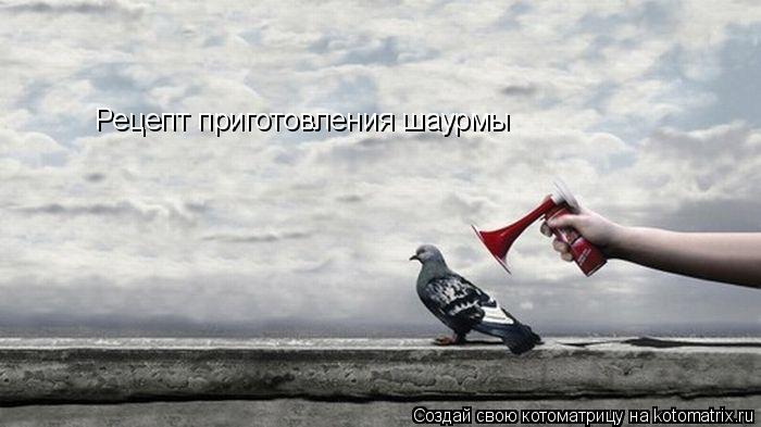 Котоматрица: Рецепт приготовления шаурмы