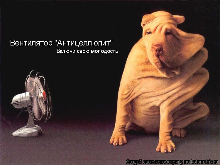 Котоматрица: Вентилятор "Антицеллюлит" Включи свою молодость