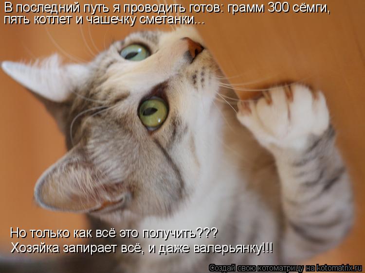 Котоматрица: В последний путь я проводить готов: грамм 300 сёмги, пять котлет и чашечку сметанки... Но только как всё это получить??? Хозяйка запирает всё, и 